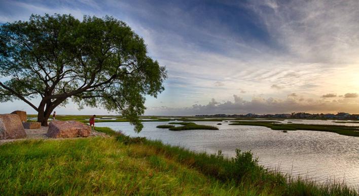 Image of a bayou vista