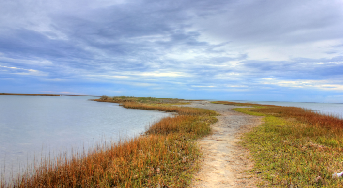 Image of Galveston Island State Park