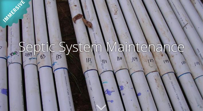 Septric System Maintenance