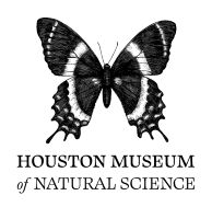 2026_HMNS logo butterfly