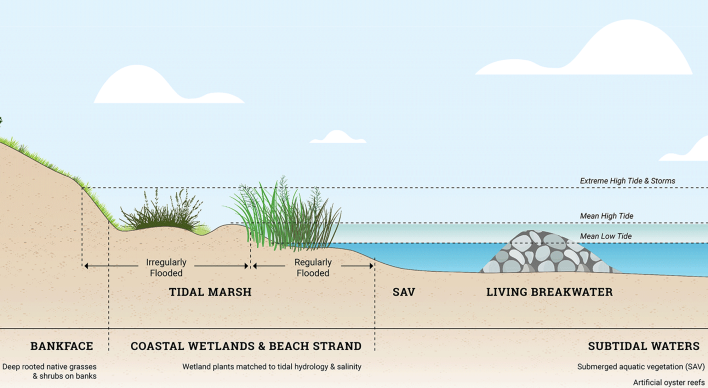 L_bg-living-shoreline-diagram.png